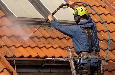 Démoussage et hydrofuge de toiture à Champagnat